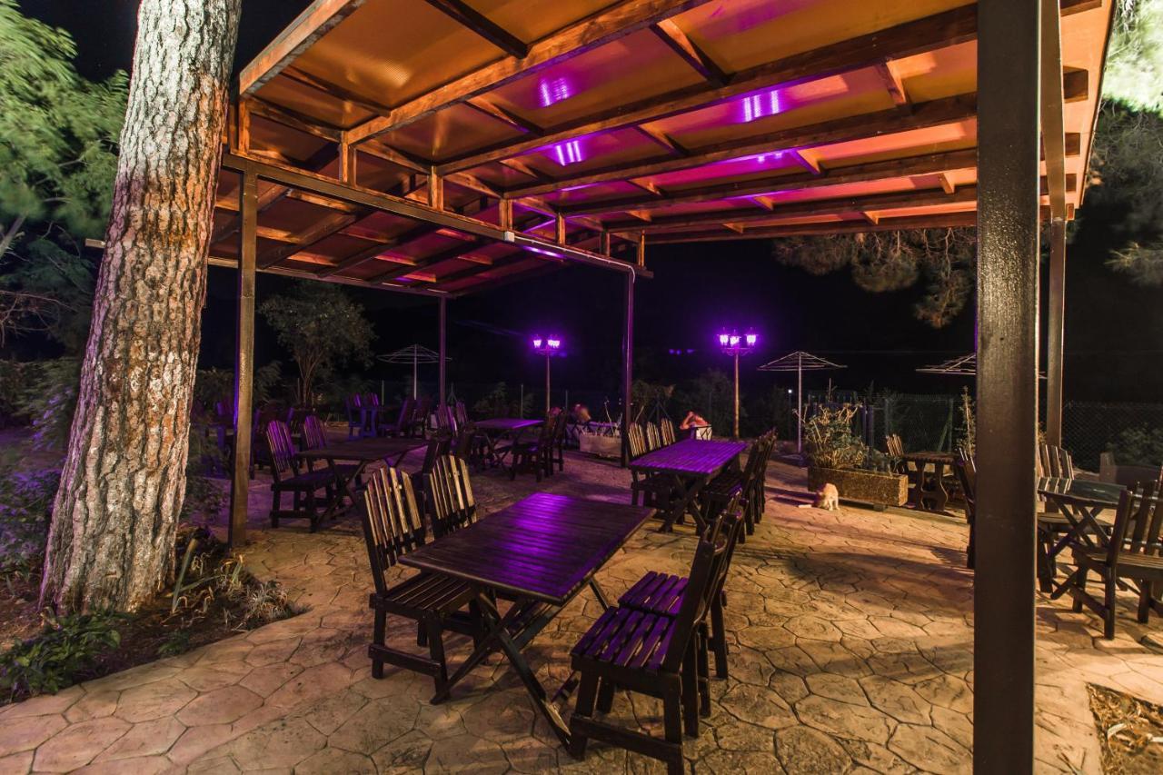 Hotel Pine View Boutique Adults Only